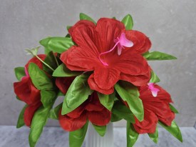 Ramo 5 claveles grandes con mariposa